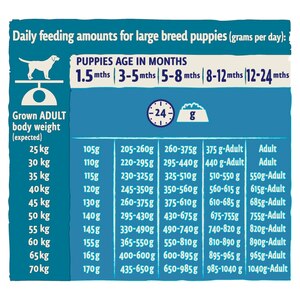 Beta Puppy Large Breed 14kg
